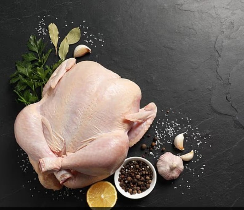 الدجاج&nbsp;