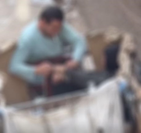 الواقعة