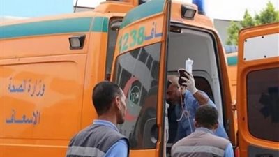 مصرع وإصابة 4 أشخاص أثناء عملهم في قنا   