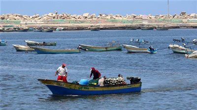مصرع صياد غرقا في بحيرة المنزلة أثناء عمله