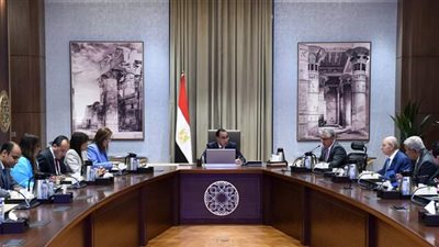 مدبولي يستعرض مشروع إقامة مجمع صناعي متكامل لإنتاج مُسطحات الصلب