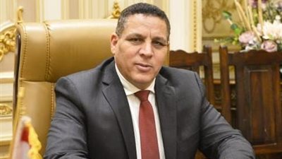 أحمد محسن: القمة المصرية التركية فرصة ثمينة لتقوية العلاقات بين البلدين