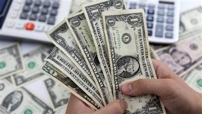 استقرار أسعار الدولار اليوم في البنوك المصرية