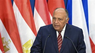 قمة البحرين| وزير الخارجية يناقش عدداً من البنود والقرارات لرفعها إلى القادة العرب
