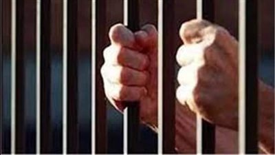 سقوط 3 تجار مخدرات في حملات أمنية بالدقهلية