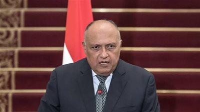 شكري: السيطرة الإسرائيلية على معبر رفح هي السبب في عدم دخول المساعدات لقطاع غزة