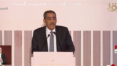 رشوان : الحكومة مؤسسة دستورية لها احترامها وصلاحياتها