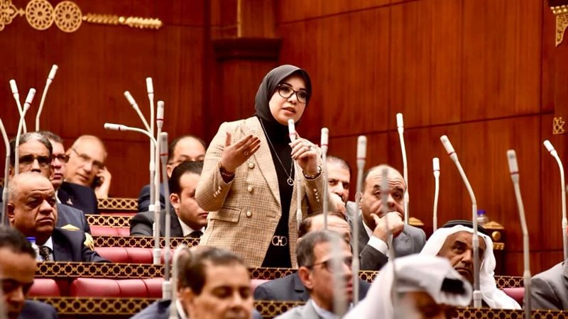 النائبة دينا الهلالي