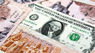انخفاض جديد بسعر الدولار اليوم في البنوك المصرية
