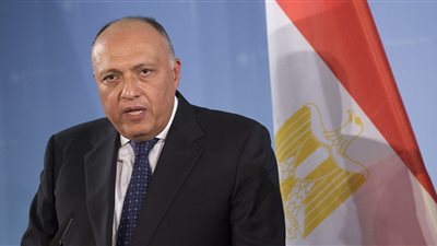 مصر وفرنسا تتفقان على تعزيز التعاون لحل الأزمة اللبنانية