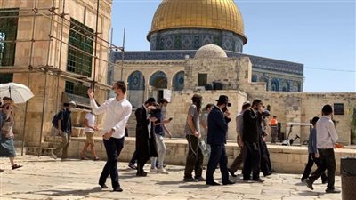 في حماية الشرطة الإسرائيلية.. مستوطنون يقتحمون المسجد الأقصى