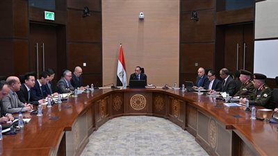 مدبولي يستعرض مقترحا لاستخلاص المعادن من مشروعات التحلية