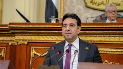 محسب: مصر انتقلت من الدعم الإنساني للقضية الفلسطينية إلى الدعم القانوني