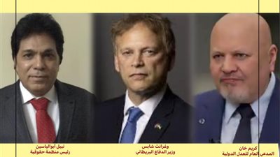 «نبيل أبو الياسين» يهاجم «كريم خان» ويرد على تصريحات «وزير الدفاع البريطاني»