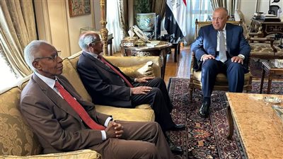 شكرى يلتقي مع نظيره الإريتري والمستشار السياسي للرئيس الإريتري
