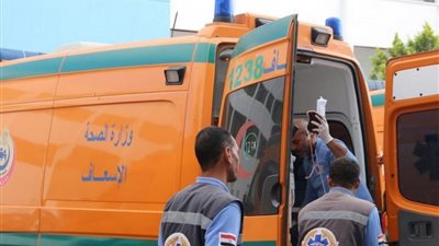 من بينهم 8 سيدات..إصابة 17 عاملاً فى حادث إنقلاب سيارة بالشرقية