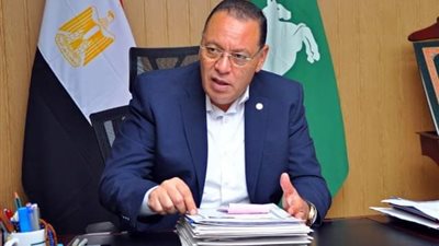 غراب يتابع أعمال إصلاح وصيانة أسلاك وأعمدة الكهرباء بـ بلبيس 