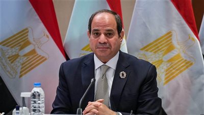 السيسي: لا نستطيع توفير احتياجات القمح حاليا ونضطر لإستيراده