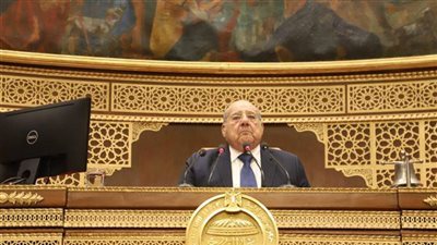 مجلس الشيوخ: الوقف له حجة خاصة ووثيقة ولها إطار معين فى النفاق