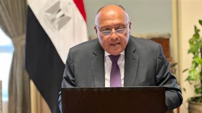 على هامش اجتماعات بون للمناخ.. شكرى يترأس اجتماعا افتراضيا لهيئة مكتب cop27