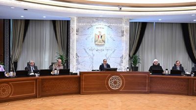 مجلس الوزراء يعتمد قرار إنشاء منطقة حرة خاصة لتصنيع الحاصلات الزراعية