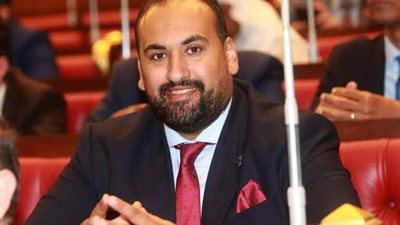 برلماني: مصر مستمرة في دعم الشعب الفلسطيني ضد العدوان الإسرائيلي