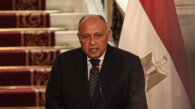شكري: لقاء السيسي مع نظيره الصيني تناول كافة قضايا التعاون المصرى الصينى
