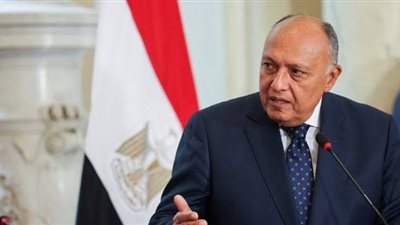 شكري يشارك في اجتماعات اللجنة المشتركة المصرية الجنوب أفريقية