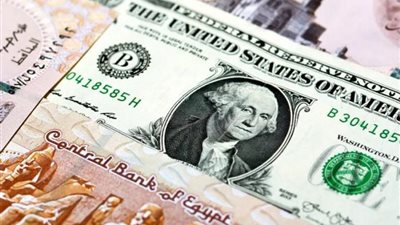 استقرار سعر الدولار اليوم السبت بمختلف البنوك المصرية