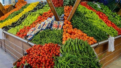 استقرار أسعار الخضروات والفاكهة اليوم السبت في سوق العبور