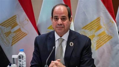السيسى يبحث مع نظيره الجنوب أفريقى تعظيم الاستفادة من إمكانيات البلدين