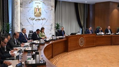 رئيس الوزراء يتابع تنفيذ برنامج التنمية المحلية بمحافظات الصعيد