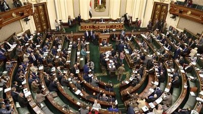 برلمانى: التعاون الجماعي أساس النجاح في المرحلة المقبلة