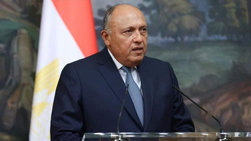 سامح شكري