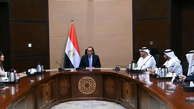 تعاون مصري إماراتي للتوسع في مجال النفط والغاز بالسوق المصرية
