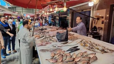 بنسبة 50%.. هبوط مفاجئ في أسعار السمك بعد المقاطعة بالمحافظات