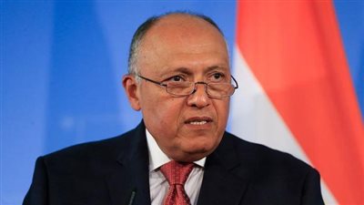 وزير الخارجية يؤكد تضامن مصر مع الصومال ضد محاولات انتهاك سيادته وسلامة أراضيه