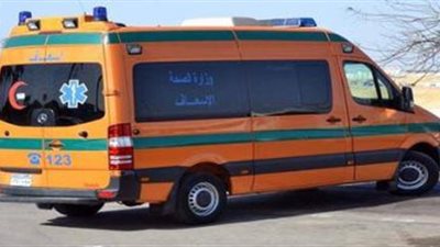 بالاسم والعمر.. إصابة 11 شخصا إثر انقلاب ميكروباص في الأقصر