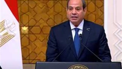 السيسي: معاناة الفلسطنيين لن تتوقف الإ بحل الدولتين