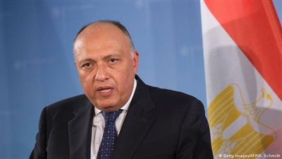 وزير الخارجية: حل الدولتين هو السبيل الوحيد لضمان تحقيق السلام