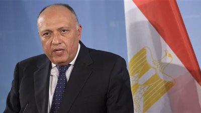 «شكري» يشارك في اجتماع الآلية المنبثقة عن قمة جوار السودان