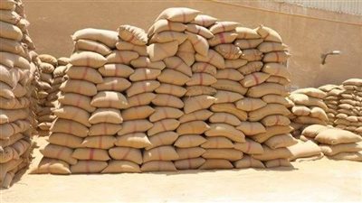 توريد 34 ألف طن قمح لصوامع وشون سوهاج