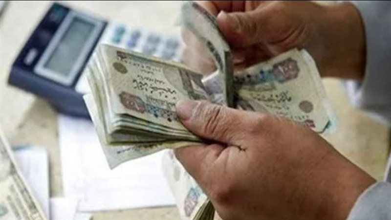 المعاشات 