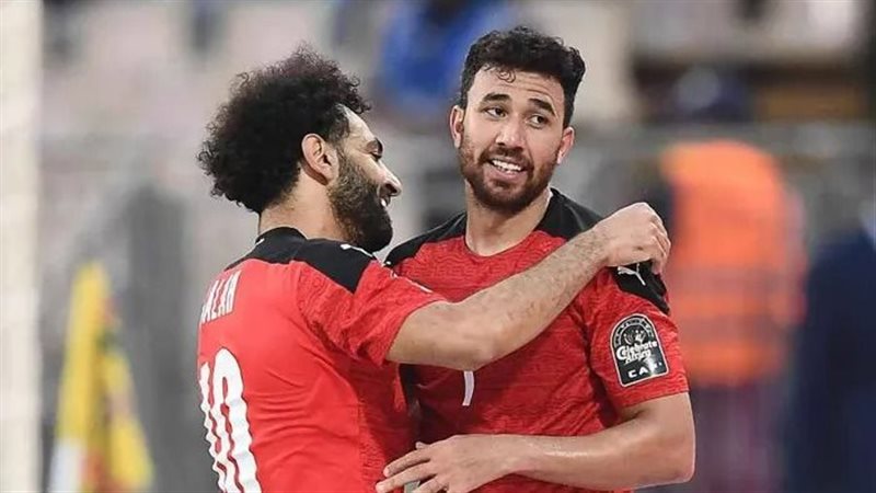 القارئ نيوز