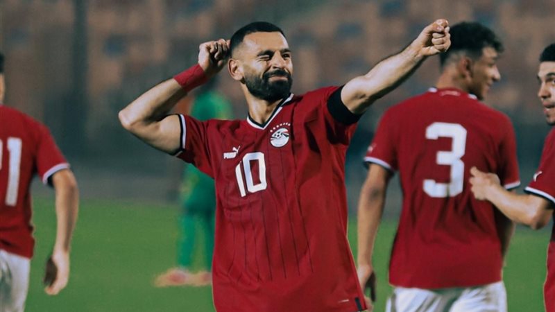 القارئ نيوز