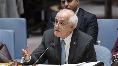 مندوب فلسطين يُحذر من استمرار جرائم إسرائيل ضد الإنسانية بـ القطاع