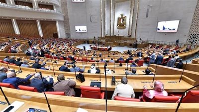 النائب علاء عابد: لابد من تغيير ثقافة الشعب لمواجهة الزيادة السكانية