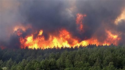 لبنان: 19 شهيدًا جديدًا بسبب الهجمات الإسرائيلية والحرائق تشتعل في الجبال