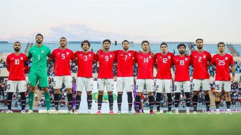 القارئ نيوز