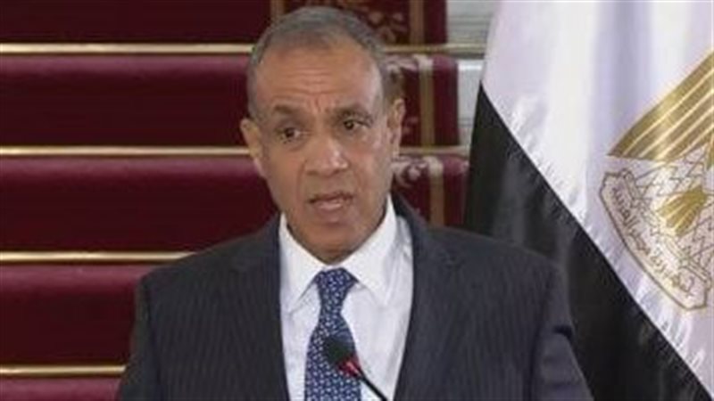  وزارة الخارجية المصرية